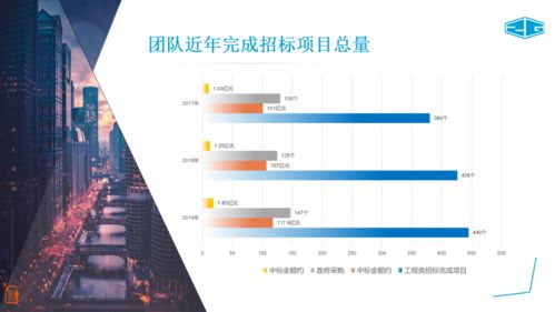 中冠咨詢 全面招標代理、政府采購與信息技術咨詢服務介紹